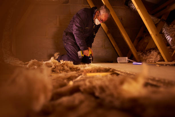 Professional Insulation Contractor in Ojai, CA